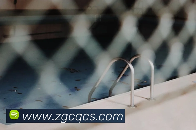 未来规划